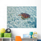 French Polynesia, Bora Bora, Green Sea Turtle An Endangered Species Wall Mural