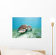 Mexico, Akumal, Green Sea Turtle An Endangered Species Wall Mural