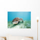 Mexico, Akumal, Green Sea Turtle An Endangered Species Wall Mural