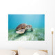 Mexico, Akumal, Green Sea Turtle An Endangered Species Wall Mural