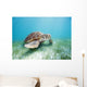 Mexico, Akumal, Green Sea Turtle An Endangered Species Wall Mural