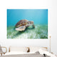 Mexico, Akumal, Green Sea Turtle An Endangered Species Wall Mural