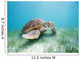 Mexico, Akumal, Green Sea Turtle An Endangered Species Wall Mural