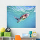 Hawaii, Green Sea Turtle An Endangered Species Wall Mural