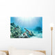 Hawaii, Green Sea Turtle An Endangered Species Wall Mural