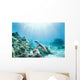 Hawaii, Green Sea Turtle An Endangered Species Wall Mural