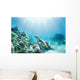 Hawaii, Green Sea Turtle An Endangered Species Wall Mural