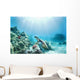 Hawaii, Green Sea Turtle An Endangered Species Wall Mural