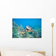 Hawaii, Green Sea Turtle An Endangered Species Wall Mural