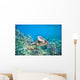 Hawaii, Green Sea Turtle An Endangered Species Wall Mural