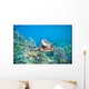 Hawaii, Green Sea Turtle An Endangered Species Wall Mural
