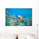 Hawaii, Green Sea Turtle An Endangered Species Wall Mural