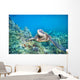 Hawaii, Green Sea Turtle An Endangered Species Wall Mural