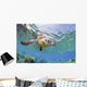 Hawaii, Green Sea Turtle An Endangered Species Wall Mural
