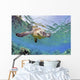 Hawaii, Green Sea Turtle An Endangered Species Wall Mural