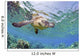 Hawaii, Green Sea Turtle An Endangered Species Wall Mural