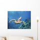 Hawaii, Green Sea Turtle An Endangered Species Wall Mural