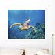 Hawaii, Green Sea Turtle An Endangered Species Wall Mural