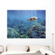 Hawaii, Green Sea Turtle An Endangered Species Wall Mural