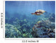 Hawaii, Green Sea Turtle An Endangered Species Wall Mural
