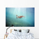 Hawaii, Green Sea Turtle An Endangered Species Wall Mural