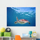 Hawaii, Green Sea Turtle An Endangered Species Wall Mural