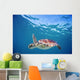 Hawaii, Green Sea Turtle An Endangered Species Wall Mural