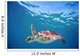 Hawaii, Green Sea Turtle An Endangered Species Wall Mural