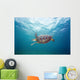 Hawaii, Green Sea Turtle An Endangered Species Wall Mural