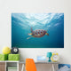 Hawaii, Green Sea Turtle An Endangered Species Wall Mural