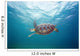 Hawaii, Green Sea Turtle An Endangered Species Wall Mural