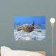 Hawaii, Green Sea Turtle An Endangered Species Wall Mural