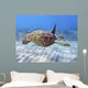 Hawaii, Green Sea Turtle An Endangered Species Wall Mural
