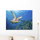 Hawaii, Green Sea Turtle An Endangered Species Wall Mural