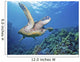 Hawaii, Green Sea Turtle An Endangered Species Wall Mural