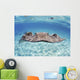 Stingray In Beautiful Turquoise Water Wall Mural