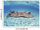 Stingray In Beautiful Turquoise Water Wall Mural