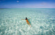 French Polynesia, Tahiti, Bora Bora, Woman Enjoy A Day In The Ocean Wall Mural