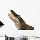 Snapping Alligator Wall Decal