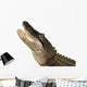 Snapping Alligator Wall Decal