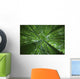 Hawaii, Maui, Bamboo Forest Wall Mural