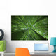 Hawaii, Maui, Bamboo Forest Wall Mural