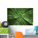 Hawaii, Maui, Bamboo Forest Wall Mural