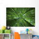 Hawaii, Maui, Bamboo Forest Wall Mural