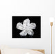 Hawaii, Close-Up Of A White Hibiscus Wall Mural