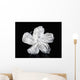 Hawaii, Close-Up Of A White Hibiscus Wall Mural