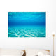 French Polynesia, Underwater Sandy Bottom And Surface Reflection Wall Mural