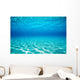 French Polynesia, Underwater Sandy Bottom And Surface Reflection Wall Mural