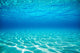 French Polynesia, Underwater Sandy Bottom And Surface Reflection Wall Mural