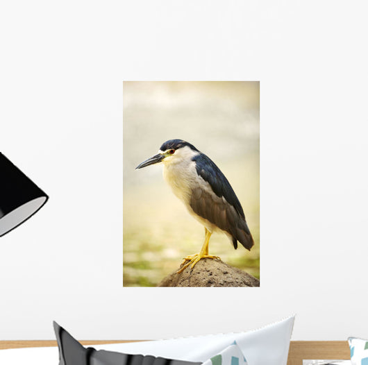 USA, Hawaii, Black Crowned Night Heron Wall Mural